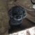 Giselle Treece's profile image