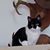Trish Phillips's profile image