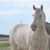 Debra Jo Ridgeway's profile image