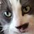 Mary Catherine Smith's profile image