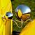 Mike Larsen's profile image