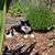 Peggy Walch's profile image