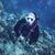 Holly Darby's profile image