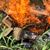 Robbie Suire's profile image