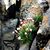 Judy Ricker's profile image