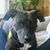 Sheila Burke's profile image