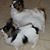 Judith R. Belford's profile image