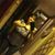 Denise Beluscak's profile image