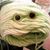 Rebecca Bouchard's profile image