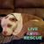 Sonia Welch Luttig's profile image