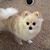 Deb Mraz's profile image