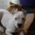 Amanda Frueh-Gambill's profile image
