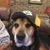 Lynda Margerison-Feeley's profile image