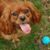Marjorie Logan's profile image