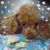 Kymberly Pierce's profile image