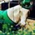 Luann DeGrose's profile image