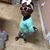 Vernicia McGruder's profile image
