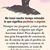 Marisolita Paz's profile image