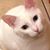 Jennifer Davies's profile image