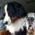 Rich Patterson Jr's profile image