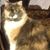 Karla Westberg's profile image