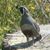Brandy Grote's profile image