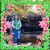Kim Ragsdale's profile image