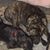 Michelle Joan Lawlor's profile image