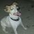 Jerry Robert Eatmon's profile image