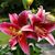Nancy Steele's profile image