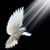 Sylvia Davis's profile image