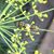 Wendy Leininger Seifert's profile image
