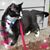 Margaret E Walsh's profile image