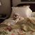 Ceil N Bill Whiton's profile image