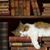 Ellen Brammer's profile image