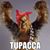 Angela Pellecchia's profile image