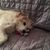 Annette Tamminga's profile image
