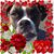 Heidi Linville-vandermeer's profile image