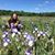 Julie Wilson's profile image