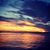 Barbara Davis's profile image