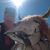 Howard Freiberg's profile image