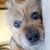 Aaron Seymour's profile image