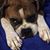 Jeannie Giles's profile image