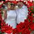 Glenda Jones's profile image