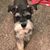 Kelly Seeley-mclaughlin's profile image