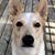 Sara Blevens's profile image