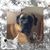 Valerie Doughty's profile image