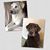 Frank N Allison Armetta's profile image