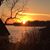 Ann Marie Gaber Niemer's profile image