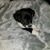 Terri Lynne Hakuna Matata's profile image
